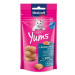 Pochoutka Vitakraft Cat Yums losos 40g