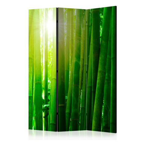 Paraván Sun and bamboo Dekorhome 225x172 cm (5-dílný) Artgeist