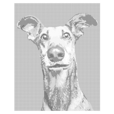 Tečkování - PES S NASTRAŽENÝMA UŠIMA Rozměr: 40x50 cm, Rámování: bez rámu a bez vypnutí plátna