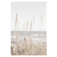 Fotografie Beach_Vass_001, Studio Collection, 26.7x40 cm