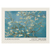 Obrazová reprodukce Květy mandloní, 40x30 cm