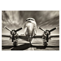 Plakát, Obraz - Aeroplane - Monochromatic, 91.5x61 cm