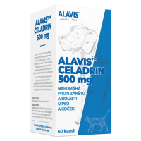 ALAVIS Celadrin 60 tablet