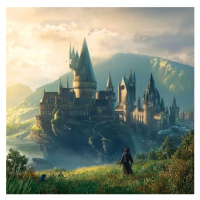 Soundtrack Hogwarts Legacy (3 LP)