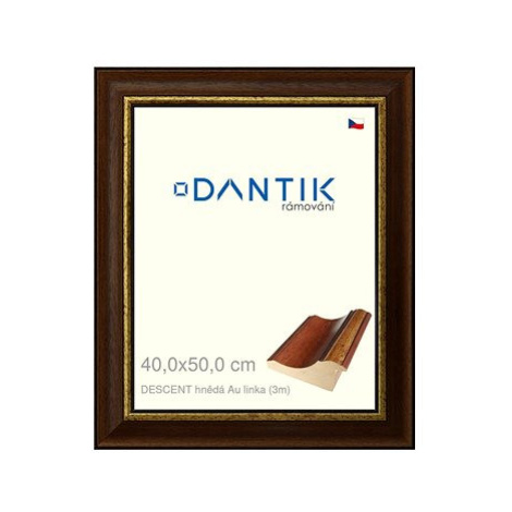 DANTIK rámeček 40 × 50, DESCENT hnědý Au linka sklo čiré