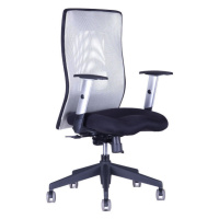 Ergonomická kancelářská židle OfficePro Calypso Grand Barva: šedá, Opěrka hlavy: bez opěrky
