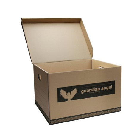 CAESAR OFFICE Archivační krabice úložná Guardian Angel 470 × 310 × 350 mm