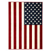 Kusový koberec American flag 120x170 cm