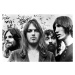 Fotografie Pink Floyd Publicity Shot, Michael Ochs Archives, 40 × 26.7 cm