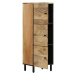 vidaXL Skříň highboard 40 x 33 x 110 cm masivní mangovníkové dřevo