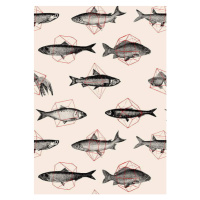 Obrazová reprodukce Fishes in Geometrics, Bodart, Florent, 30 × 40 cm