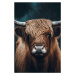 Fotografie Highland Cow, Treechild, 26.7 × 40 cm