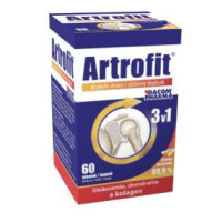 Artrofit tob.60