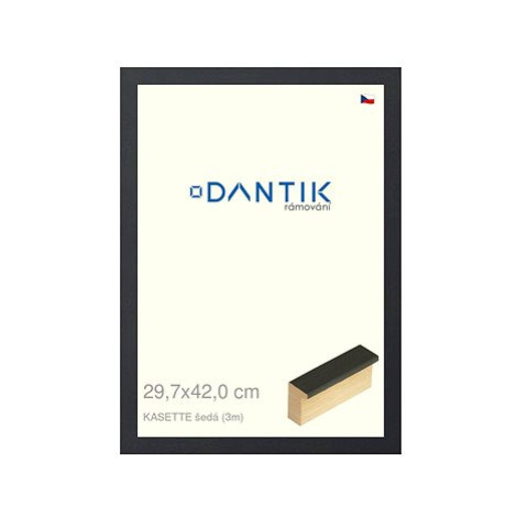 DANTIK rámeček 29,7 × 42, KASSETTE šedý 2758 plexi čiré