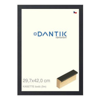 DANTIK rámeček 29,7 × 42, KASSETTE šedý 2758 plexi čiré