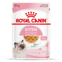 Royal Canin Kitten v želé - 48 x 85 g