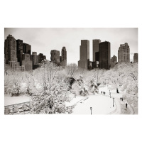 Fotografie Central Park winter, rabbit75_ist, 40 × 26.7 cm