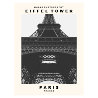 Umělecká fotografie Eiffel Tower (Paris, France), (30 x 40 cm)