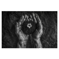 Fotografie A New Life, Stephen Clough, 40x26.7 cm