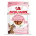 Royal Canin Kitten Sterilised - vlhké krmivo pro sterilizovaná koťata 12 x 85 g