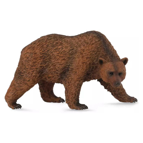 Medvěd hnědý Collecta