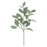 Umělá větev Magnolie zeleno-šedá, 62 cm