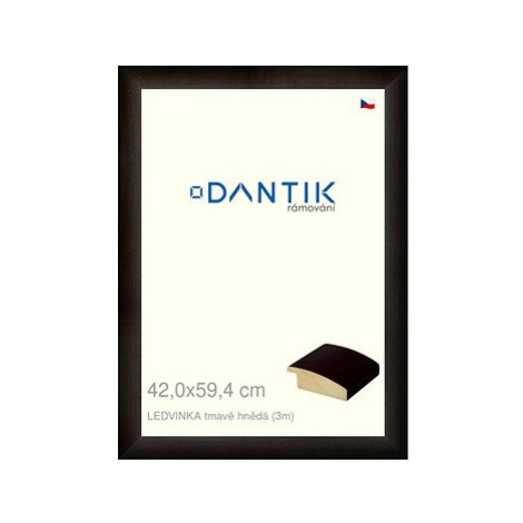 DANTIK rámeček 42 × 59,4, LEDVINKA tmavě hnědý plexi čiré