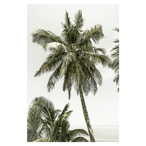 Umělecká fotografie Palm Trees at the beach | Vintage, Melanie Viola, (26.7 x 40 cm)