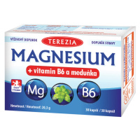 TEREZIA Magnesium + vitamin B6 a meduňka 30 kapslí