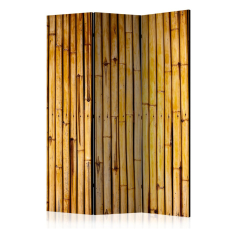 Paraván Bamboo Garden Dekorhome 225x172 cm (5-dílný) Artgeist