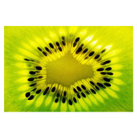 Fotografie Fresh kiwi fruit slice, Stefan Cristian Cioata, 40 × 26.7 cm