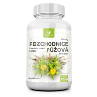 Allnature Rozchodnice růžová 500 mg 60 kapslí