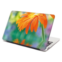 Sablio Samolepka na notebook Oranžová gerbera - 38x26 cm