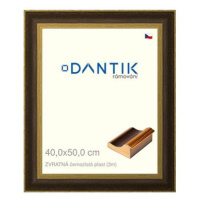 DANTIK rámeček 40 × 50, ZVRATNÝ černozlatý plast plexi čiré