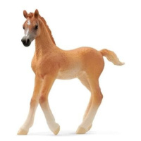 Schleich Horse Club Hříbě čisté arabské krve 13984