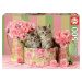 Educa puzzle Kittens with Roses 500dílné s fix lepidlem 17960