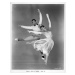 Fotografie Gower Champion And Marge Champion In, Archive Photos, 30 × 40 cm