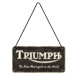 Plechová cedule Triumph - The BEst Motorcycle in the World, 20 × 10 cm