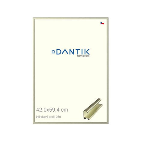 DANTIK rámeček 42 × 59,4, ALU profil 7269 Šedý Pyrit broušený plexi čiré