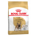 Royal Canin French Bulldog Adult - 3 kg