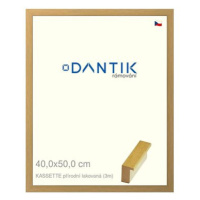 DANTIK rámeček 40 × 50, KASSETTE přírodní lakovaný plexi čiré