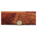 Flair Rugs koberce Kusový koberec Manhattan Patchwork Chenille Terracotta Rozměry koberců: 120x1