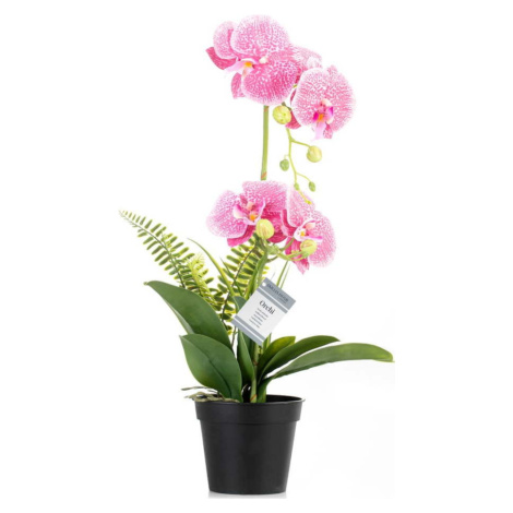 Umělá květina (výška 55 cm) Orchid – AmeliaHome