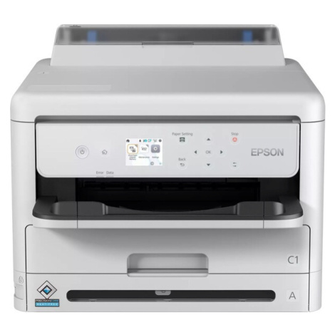 Epson C11CK77401 Šedá