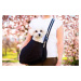 TailUp taška pro psa | do 5 Kg Barva: Béžová, Dle váhy psa: do 2 kg