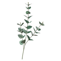 DEKORAČNÍ VĚTVIČKA eukalyptus/blahovičník 68 cm