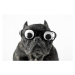 Fotografie Dog with glasses and bulging eyes, Fernando Trabanco Fotografía, 40 × 26.7 cm