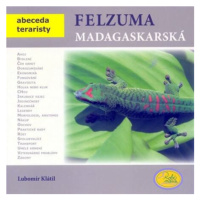 Felsuma madagaskarská - Abeceda teraristy