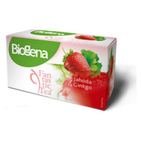 Biogena Fantastic Jahoda & Ginkgo porcovaný čaj 20x2 g