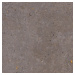 Dlažba Pastorelli Biophilic dark grey 120x120 cm mat P009412